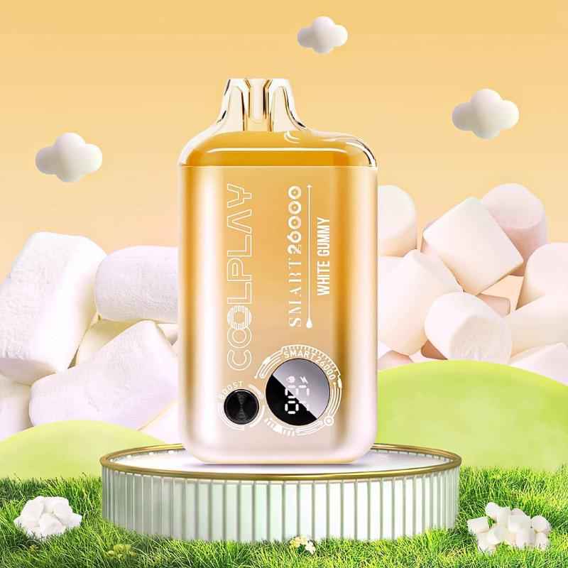 COOLPLAY SMART 26K