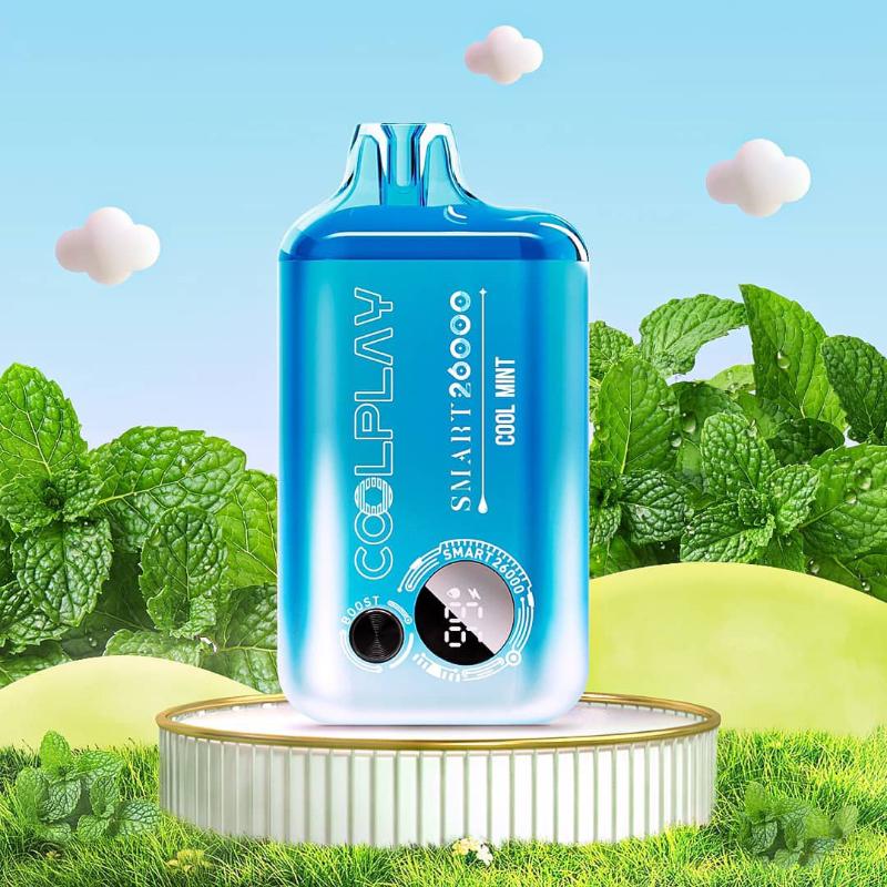 COOLPLAY SMART 26K