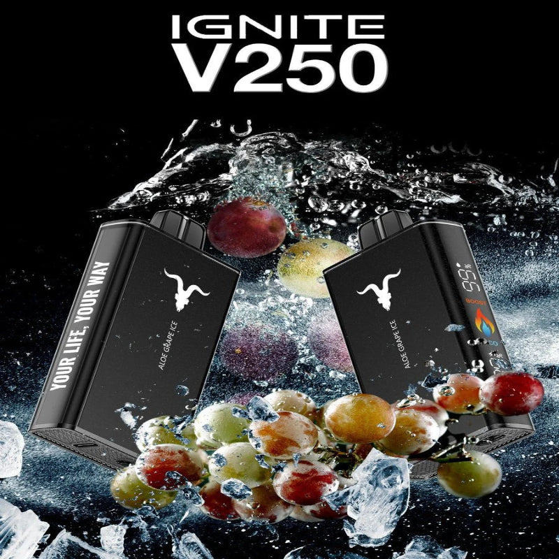 IGNITE V250 DISPOSABLE 25000 PUFFS 5%