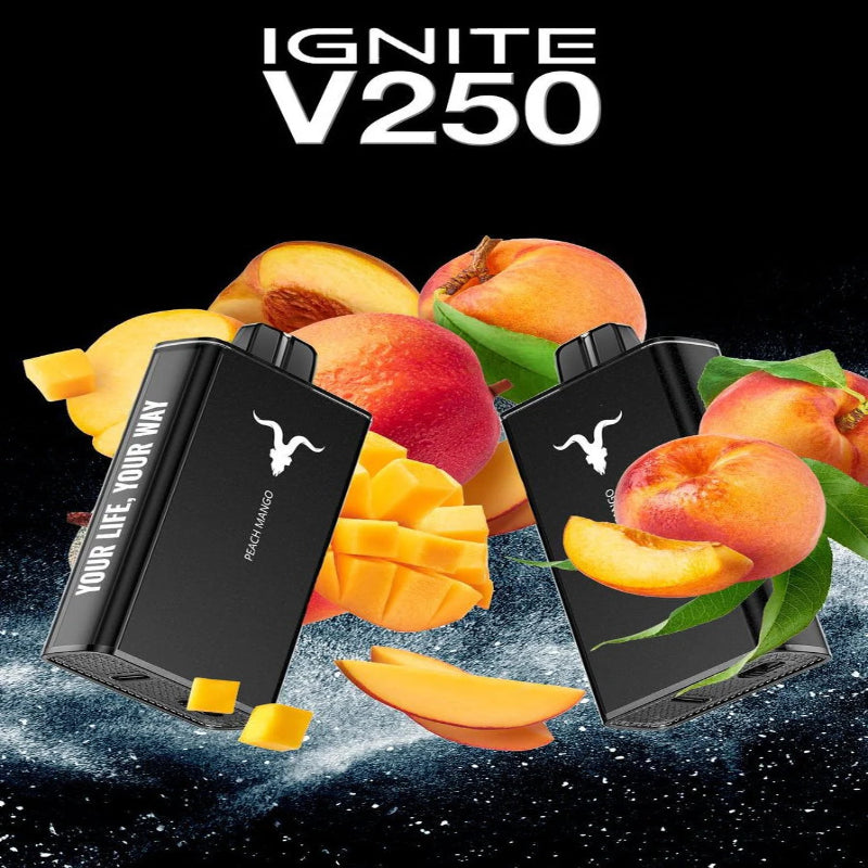IGNITE V250 DISPOSABLE 25000 PUFFS 5%