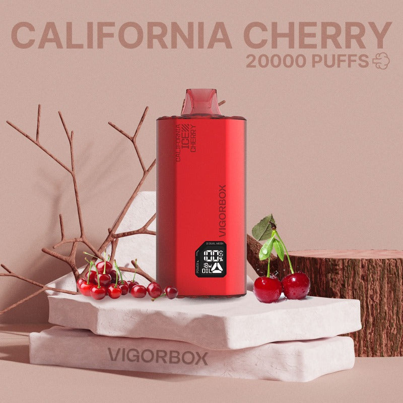 VIGORBOX APOLLO 20000 PUFFS