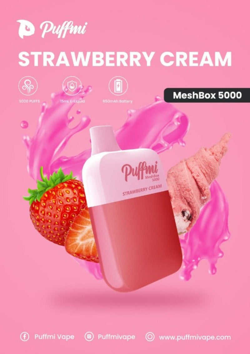 PUFFMI MESH BOX 5000 PUFF