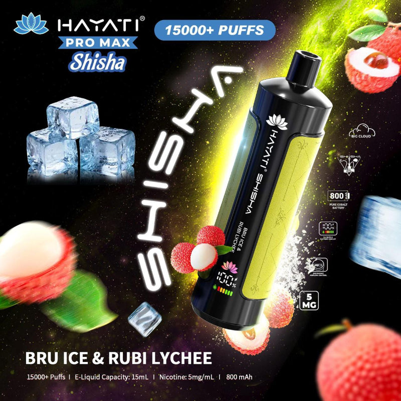 HAYATI PRO MAX SHISHA