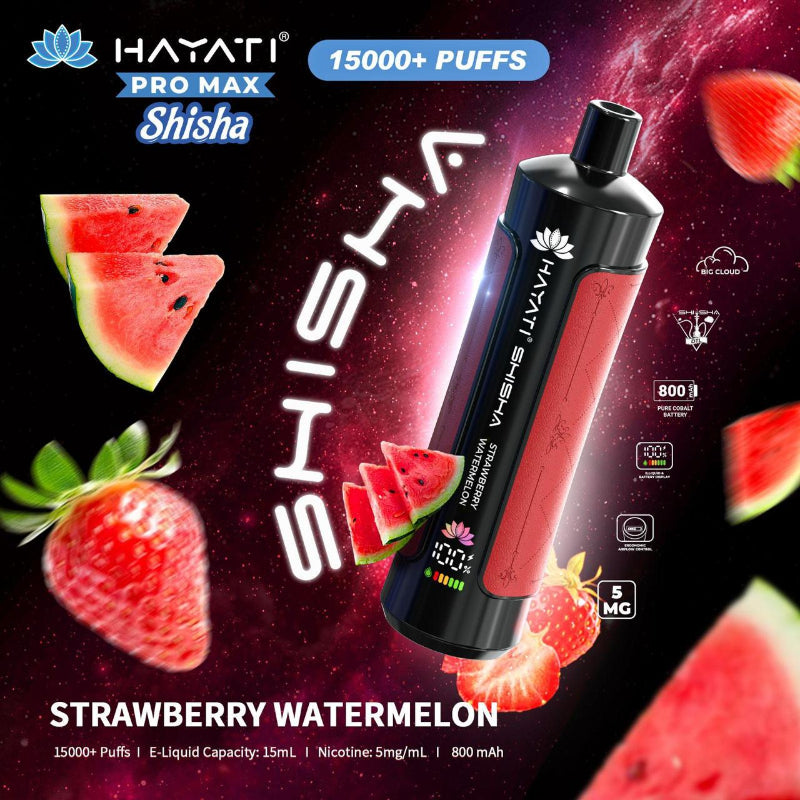 HAYATI PRO MAX SHISHA