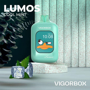 VIGORBOX LUMOS 25K PUFFS