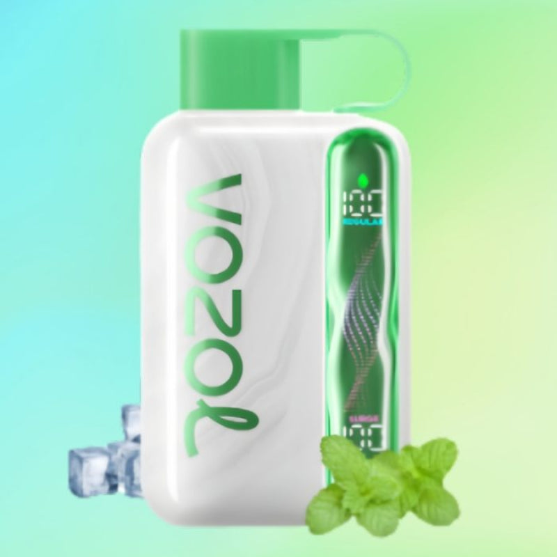 Vozol Star 40000 Puffs 50MG Rider Vapes Vozol Star 40000 Puffs 50MG Rider Vapes
