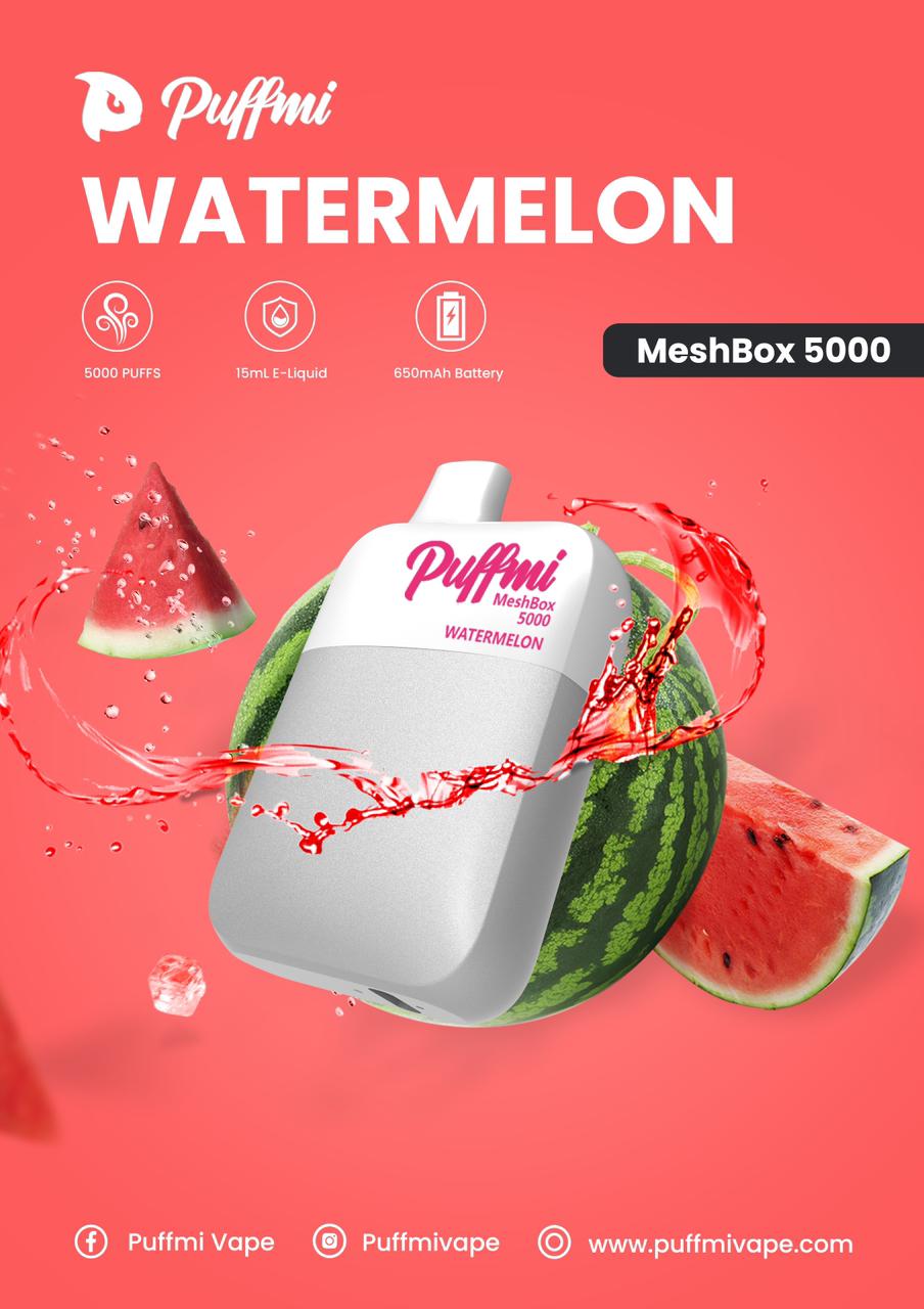 PUFFMI MESH BOX 5000 PUFF Rider Vapes PUFFMI MESH BOX 5000 PUFF Rider Vapes