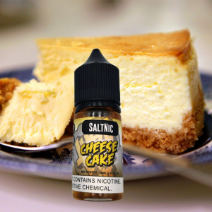 CHEESE CAKE SALTNIC